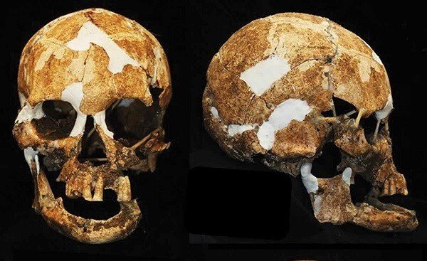 Negrito skull confirms Taiwan indigenous legends of 'little Black people' 1