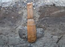 Wooden Handle Found Intact on 5,500-Year-Old Stone Ax