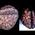 Is the 20 million-year-old Wolfsegg Iron an artificially made artifact?