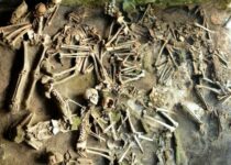 Men And Women Had Different Diets in This Ancient Roman Town Destroyed by a Volcano