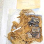 3,300 years old Ago Ancient Egyptians Now called ‘Black Bones of Set’ Collected and Revered Ancient Fossils