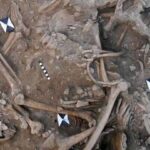 Mass graves of Crusaders killed in the 13th century have been discovered in Lebanon