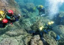 Amateur divers find an 'incredible' treasure trove of gold coins from the Roman Empire while cleaning up trash on the seabed