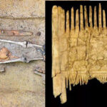 'Hipster' warrior was buried 1,500 years ago with a comb that may have been used to style his beard