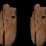40,000-BC mammoth ivory pendant is the oldest decorated jewellery found in Eurasia, Says Study 40,000-BC mammoth ivory pendant is the oldest decorated jewellery found in Eurasia, Says Study