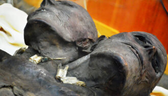 Kap Dwa: The mysterious mummy of a two-headed giant