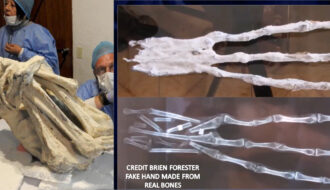 Three-fingered ‘alien mummy’ dug up in Peru could be new species of human, DNA test suggests