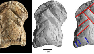 A 51,000-year-old carved bone is one of the world's oldest works of art, researchers say