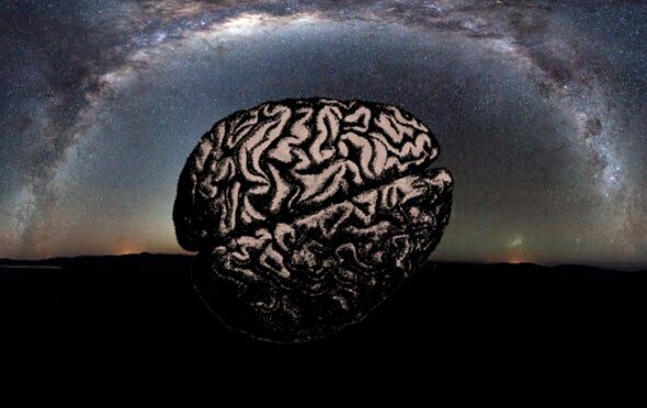 Scientists Find 500-Million-Year-Old Fossilized Brain