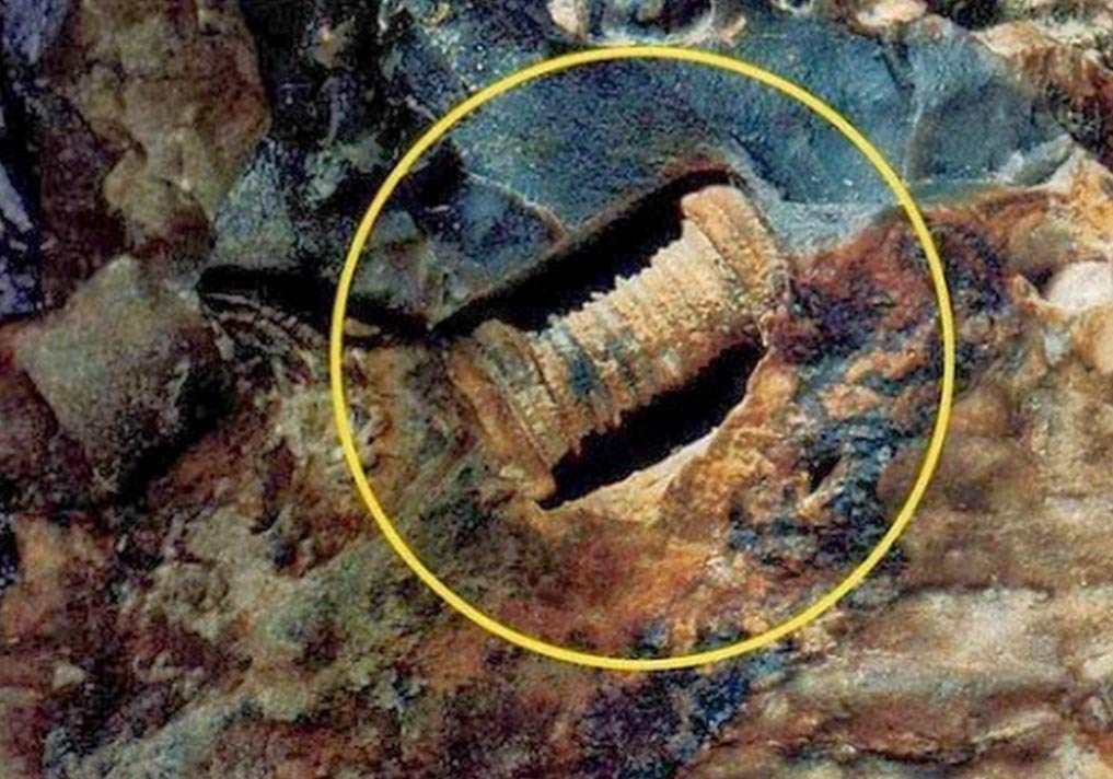 300 million years old screw found by researchers could change history