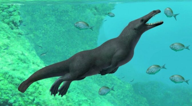 Fossil Found of Ancient Four-Legged Whale that Could Walk on Land