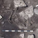 Dozens of Iron Age corpses unearthed at eerie Swedish walled fort