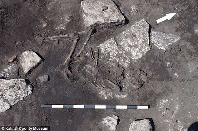 Dozens of Iron Age corpses unearthed at eerie Swedish walled fort