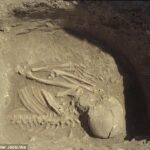 DNA reveals origins of first European farmers