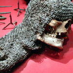 A medieval victim still in his chainmail discovered in Sweden
