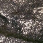 The 290 Million Year Old Fossil Human Footprint The 290 Million Year Old Fossil Human Footprint