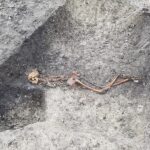 Iron Age Murder Victim’s Skeleton Found in England