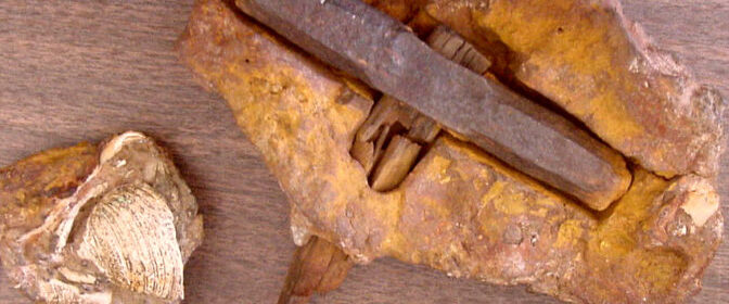 400 Million Year Old Hammer discovered In Texas The London