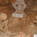 The 700,000-year-old Skull in a Greek cave completely shatters the Out of Africa theory