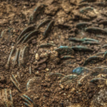 Farmer discovers a huge hoard of more than 4,000 ancient Roman coins in Switzerland Farmer discovers a huge hoard of more than 4,000 ancient Roman coins in Switzerland