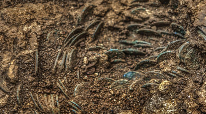 Farmer discovers a huge hoard of more than 4,000 ancient Roman coins in Switzerland