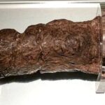 This is the largest fossilized human turd ever found This is the largest fossilized human turd ever found