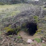 Rabbits dig up 9,000-year-old artifacts on 'Dream Island' Rabbits dig up 9,000-year-old artifacts on 'Dream Island'