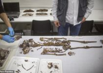 Grave Of Thrones: Ancient Tomb Of Child Princess Found In Game Palace