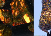 The world’s most Amazing Meteorite found