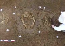 Discovery Of 113 Ancient Taino Graves In Guadeloupe Sheds Light On A Lost People
