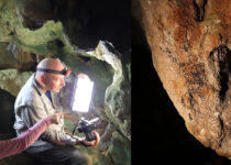 Philippines Cave Art Becomes First Directly Dated In Southeast Asia