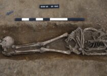 Somersham headless bodies were victims of Roman executions