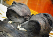 Kap Dwa: The mysterious mummy of a two-headed giant