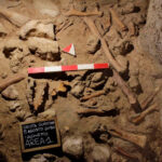 Archaeologists discover remains of 9 Neanderthals near Rome Archaeologists discover remains of 9 Neanderthals near Rome