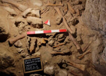 Archaeologists discover remains of 9 Neanderthals near Rome