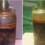 The oldest bottle of wine in the world remains unopened since the 4th Century The oldest bottle of wine in the world remains unopened since the 4th Century