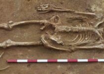 Decapitated Skeletons, with Heads Between Their Legs, Unearthed in Roman Cemetery