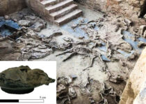 Remains of 'earliest-ever' Iberian textiles factory that was burned to the ground 2,500 years ago