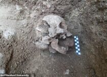 'Vampire' discovered buried in Cemetery of Children in Italy
