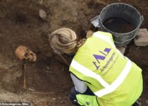 New Viking Ship Graves Discovered in Sweden and Norway