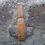 Wooden Handle Found Intact on 5,500-Year-Old Stone Ax