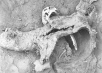 Archaeological Evidence for 1,700-Year-Old Chemical Warfare