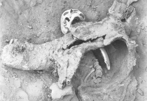 Archaeological Evidence for 1,700-Year-Old Chemical Warfare