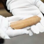 Ancient bone sheds light on Slav alphabet history Ancient bone sheds light on Slav alphabet history