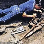 Vesuvius ancient eruption rescuer identified at Herculaneum, says, expert Vesuvius ancient eruption rescuer identified at Herculaneum, says, expert