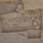 Rare Ancient DNA Provides Window Into a 5,000-Year-Old South Asian Civilization Rare Ancient DNA Provides Window Into a 5,000-Year-Old South Asian Civilization