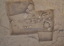 Rare Ancient DNA Provides Window Into a 5,000-Year-Old South Asian Civilization