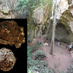 A child’s 78,000-year-old grave marks Africa’s oldest known human burial