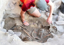 Iron Age and Roman Skeletons Discovered on Alderney