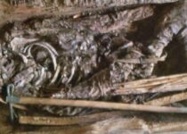 New DNA Analysis Reveals Ancient Scythian Warrior Was a 13-Year-Old Girl